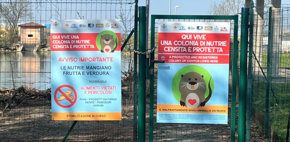 nutrie protette a parma testo-del-paragrafo-62